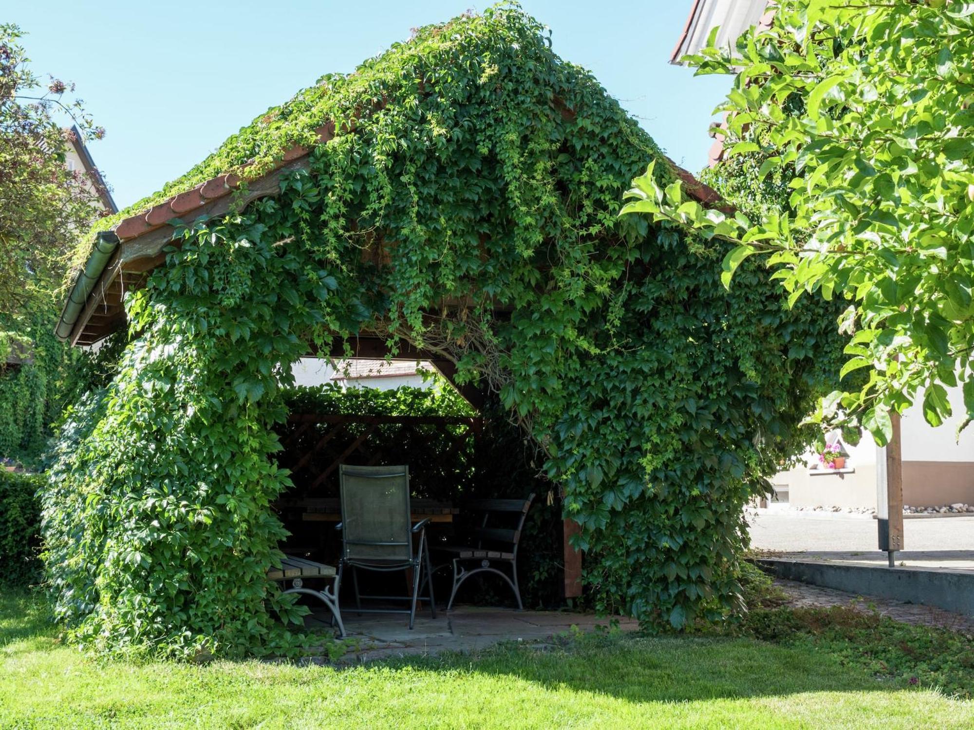 Cozy Apartment In Schwenningen With Garden Villingen-Schwenningen Buitenkant foto